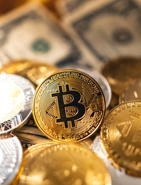 malte-conseils-consultation-cryptomonnaie-2